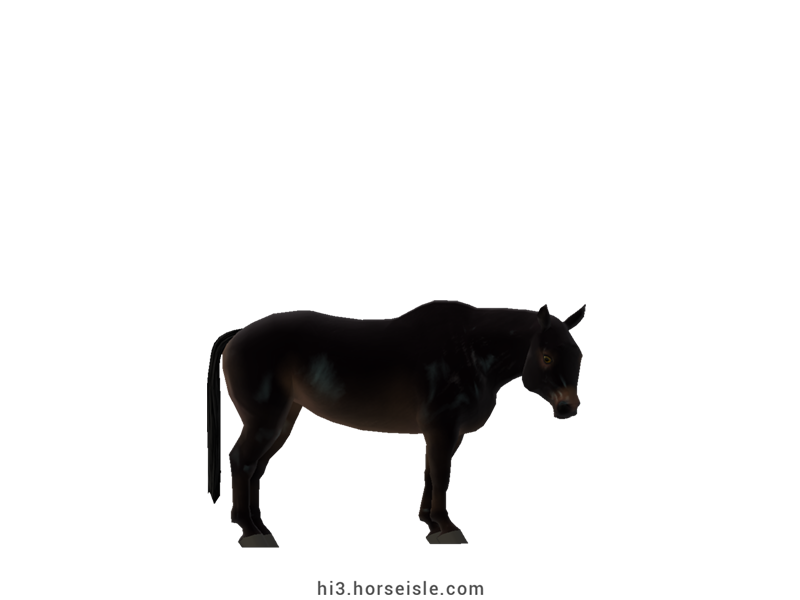 Cow-pony Omby Mealy Ebony Black Coat